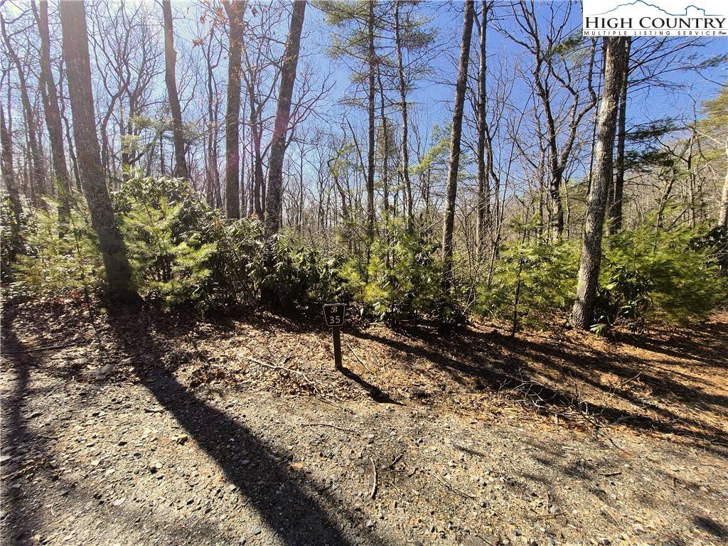 West Jefferson, NC 28694,Lot 35 Smoke Rise PATH