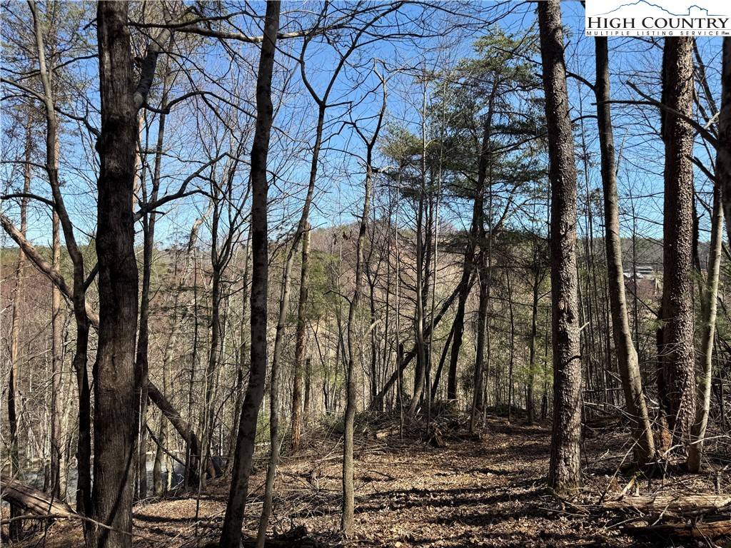 Jefferson, NC 28640,TBD Lot 30 Shawnee TRL