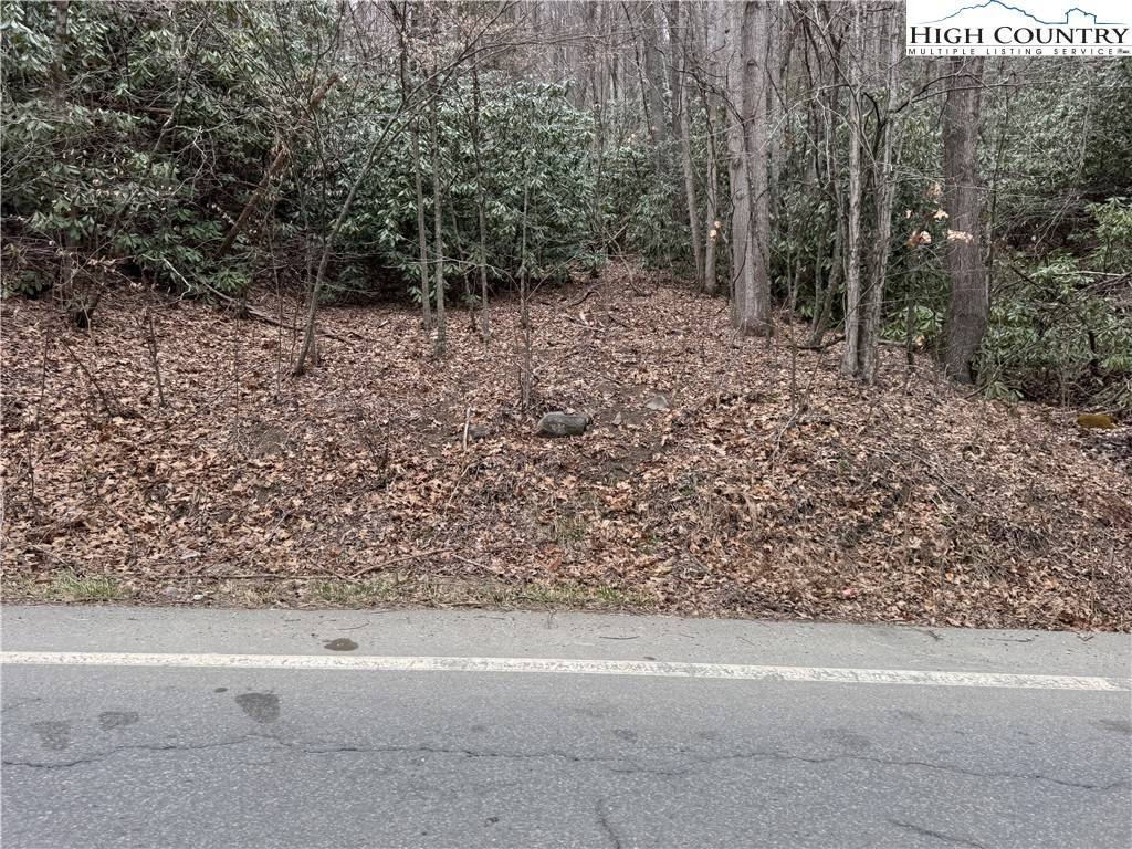 Elk Park, NC 28622,TBD Banner Elk HWY