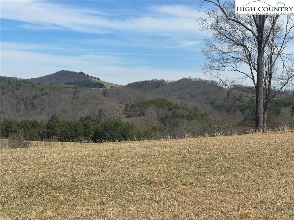 Sparta, NC 28675,Lot 14 Turtle Ridge RD