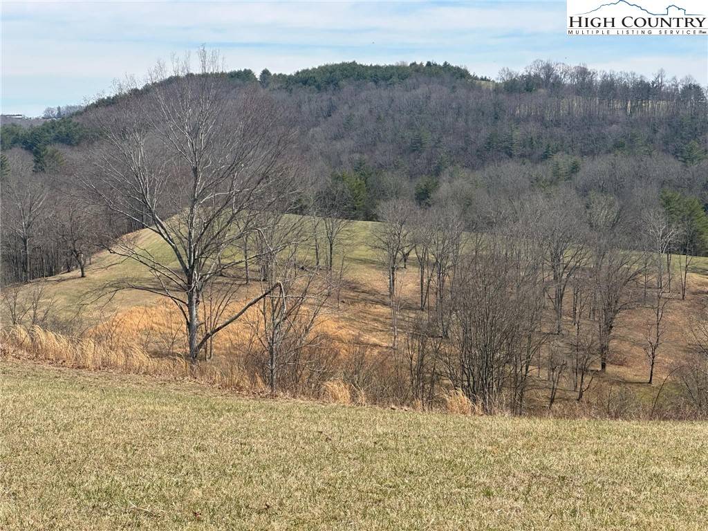 Sparta, NC 28675,Lot 13 Turtle Ridge RD
