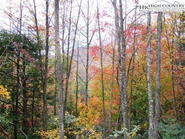 Newland, NC 28657,Lot 12 Toe River LN