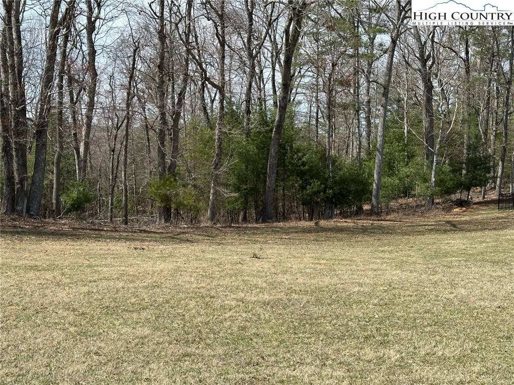 Sparta, NC 28675,Lot 2 Turtle Ridge RD