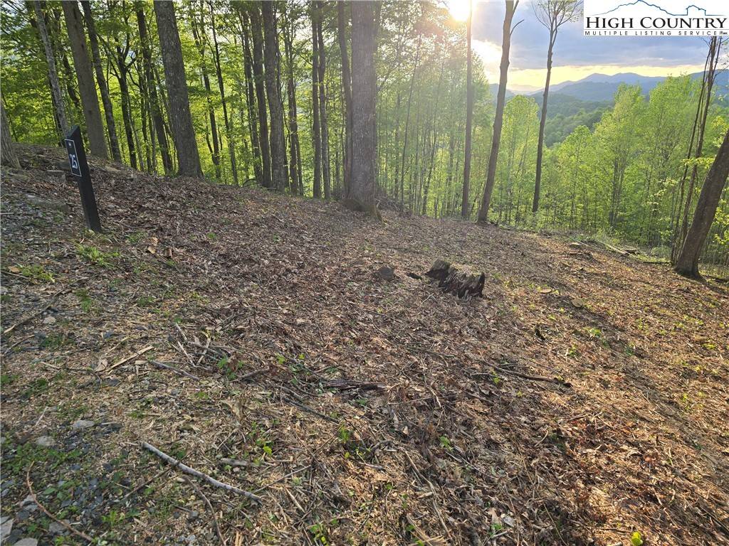 Elk Park, NC 28622,Lot 25 Deer Trail LN