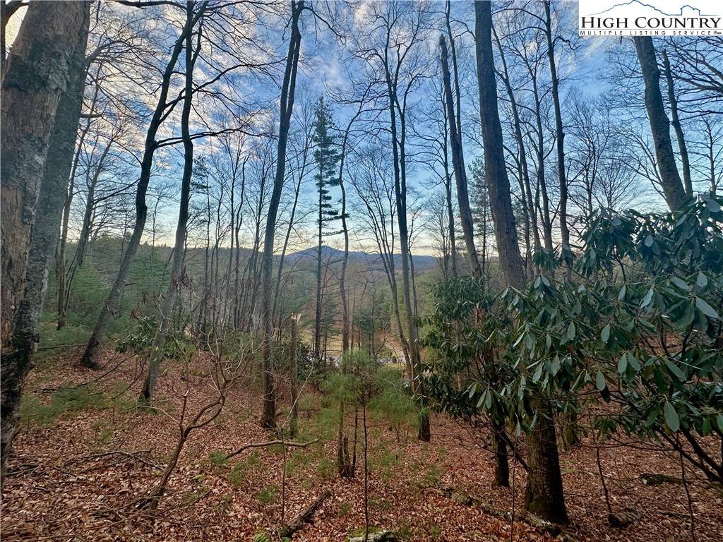 West Jefferson, NC 28694,TBD Bare Hollow RD