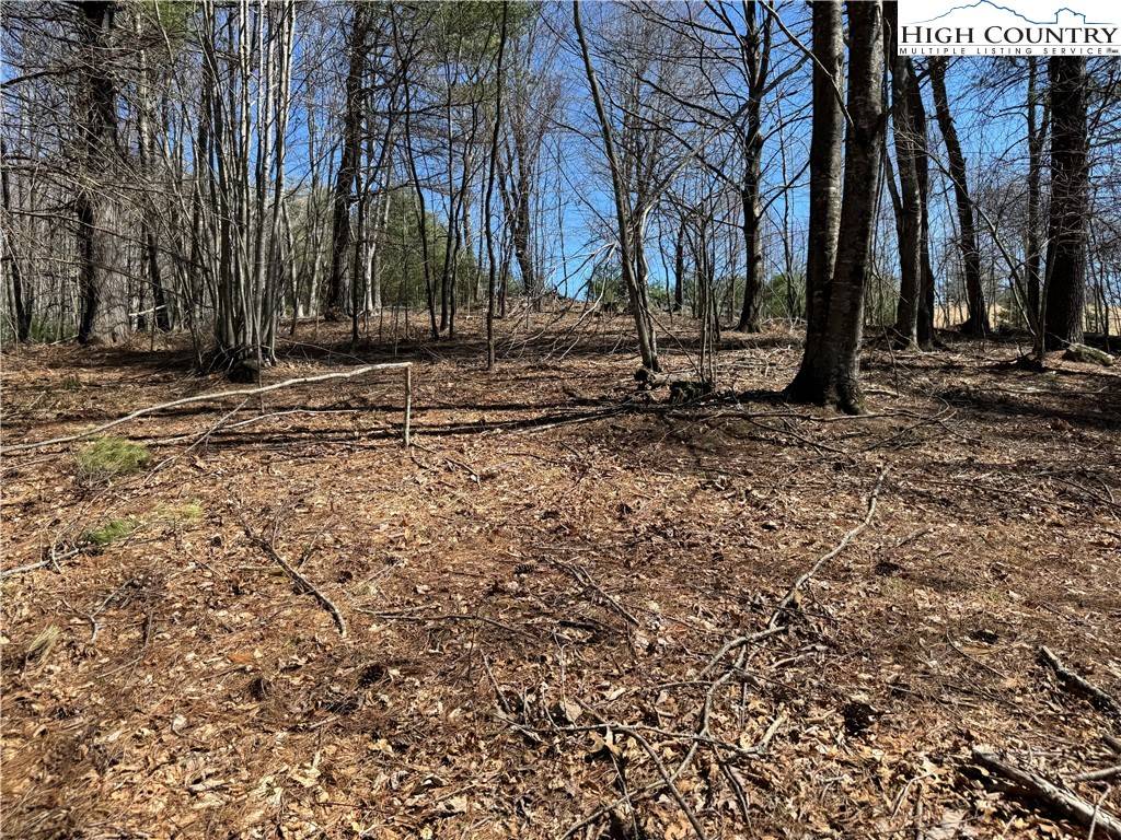 Jefferson, NC 28640,TBD Lot 52 Canawhay DR
