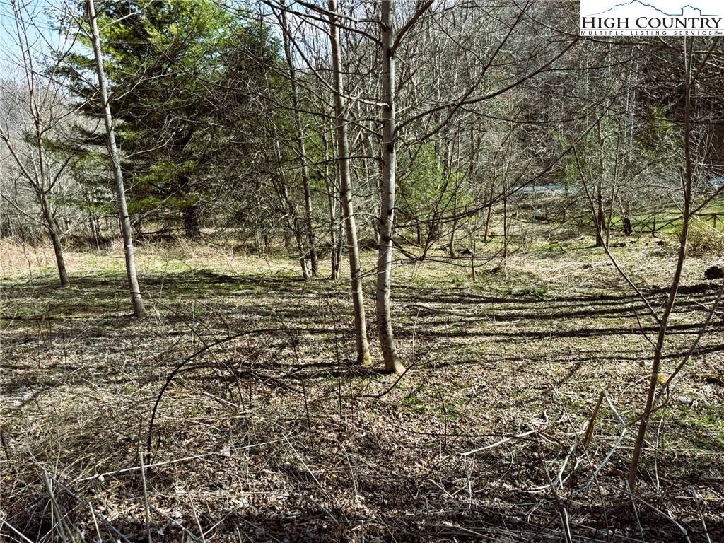 Banner Elk, NC 28604,Lot 3 Larkspur TRL