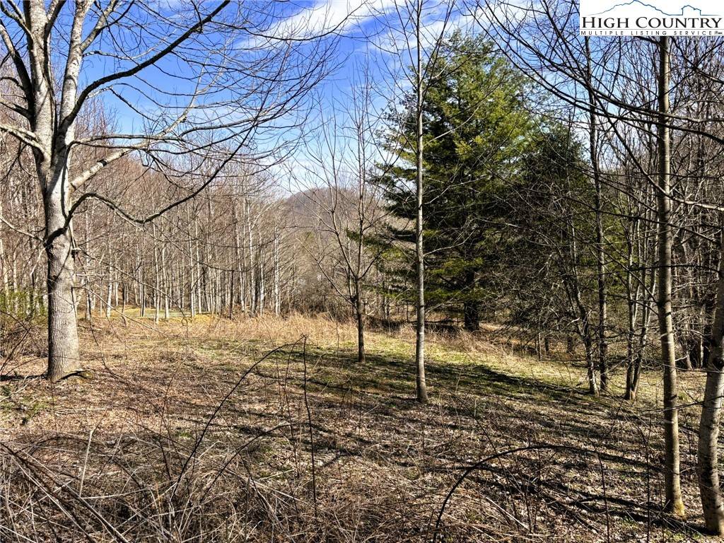Banner Elk, NC 28604,Lot 3 Larkspur TRL