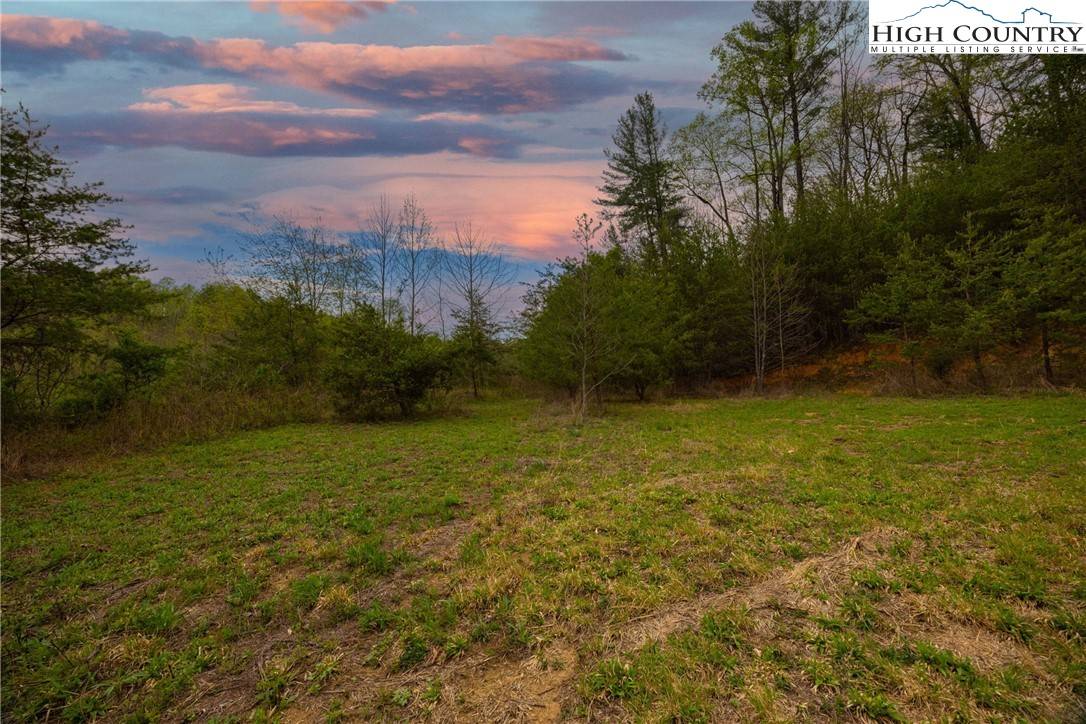 Taylorsville, NC 28681,000 Old Vashti RD #Lot 2