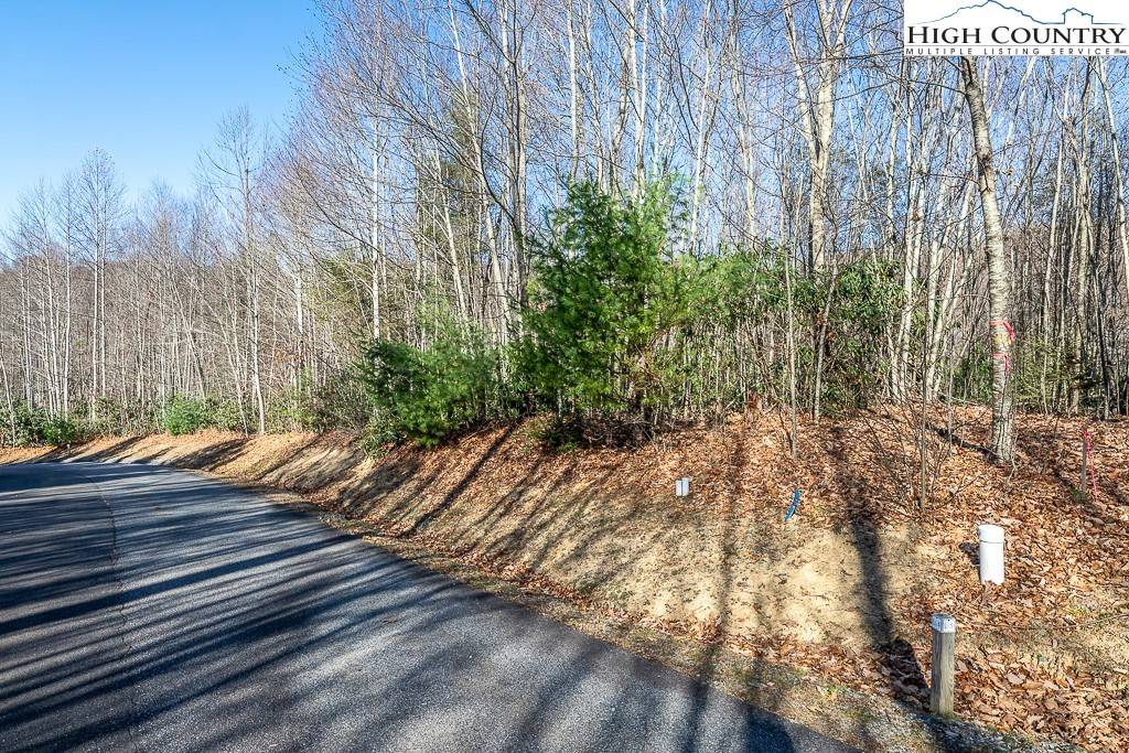 Elk Park, NC 28622,LL4 Woodlake Loop RD