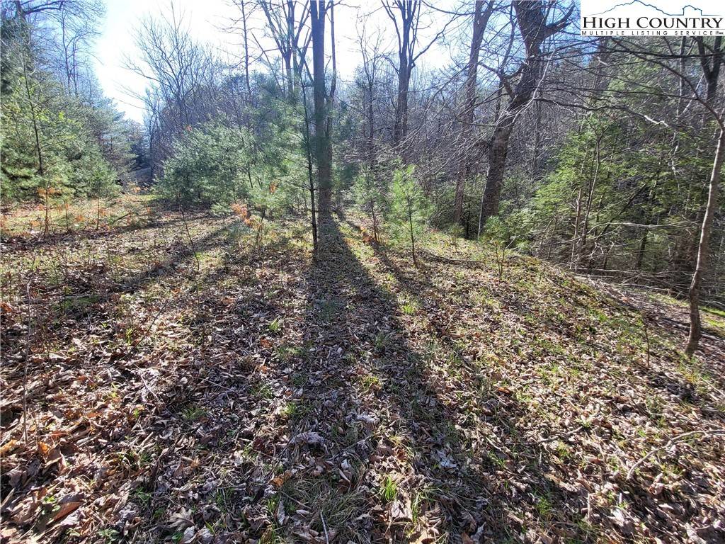 Crumpler, NC 28617,Tbd Sharon Sweeney RD