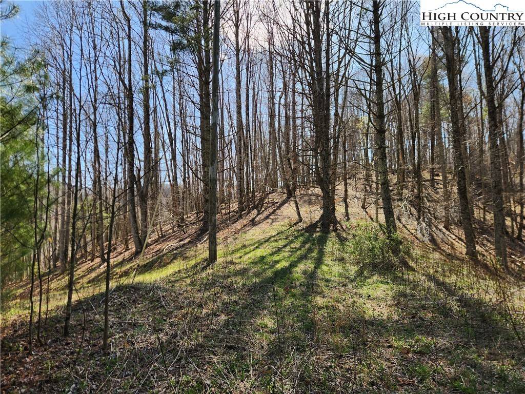 Sugar Grove, NC 28679,6033 Hwy 321 HWY