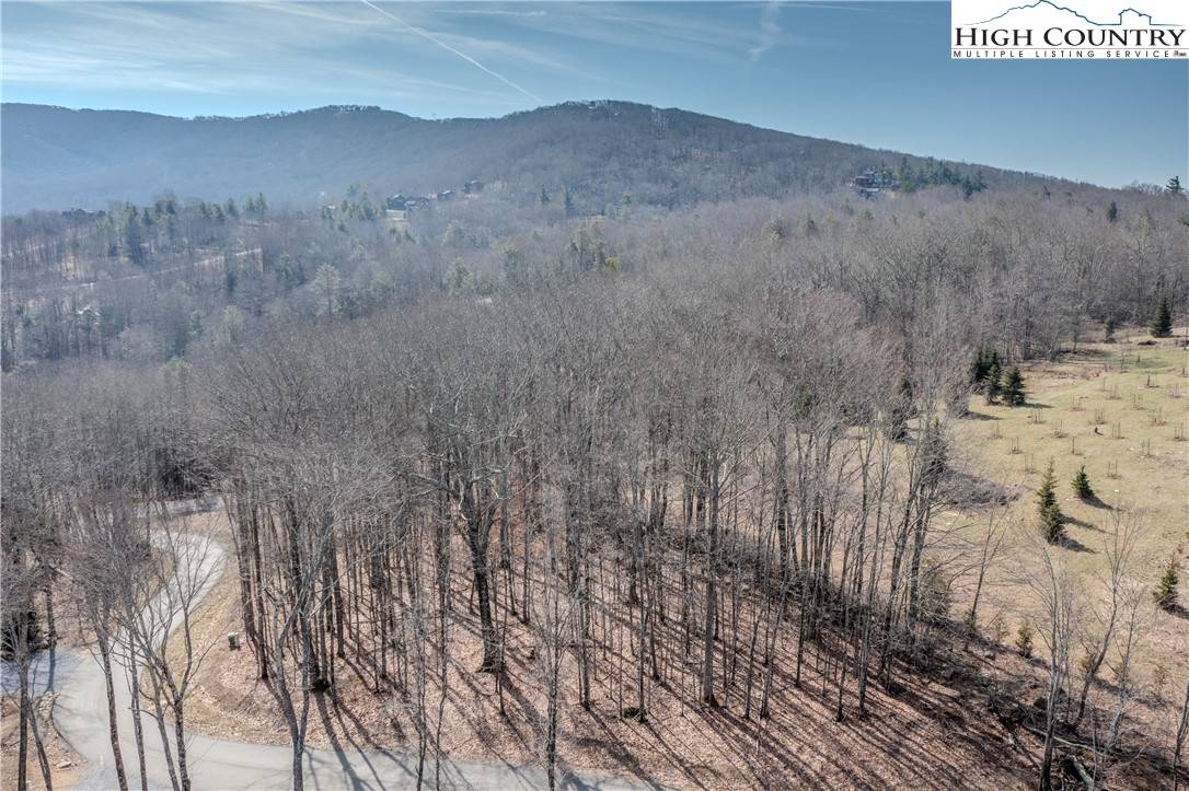 Banner Elk, NC 28604,N-91B Peregrine TRL