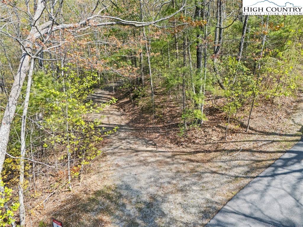 Lenoir, NC 28645,TBD Bear Track LN