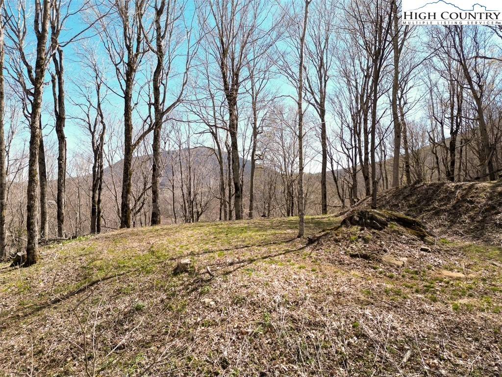 Zionville, NC 28698,796 Goat Mountain RD