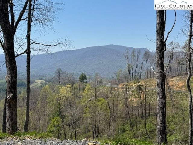 Spruce Pine, NC 28777,TBD Mount Mitchell DR #Lot 39
