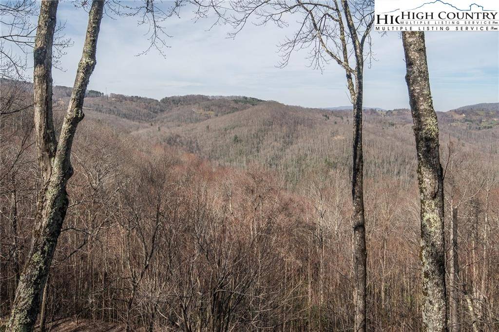 Beech Mountain, NC 28604,103 Bear Paw PATH