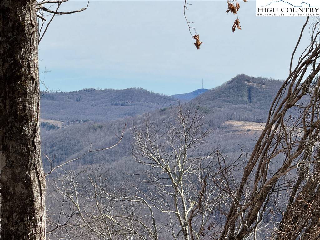 Newland, NC 28657,TBD Double Head Mountain RD