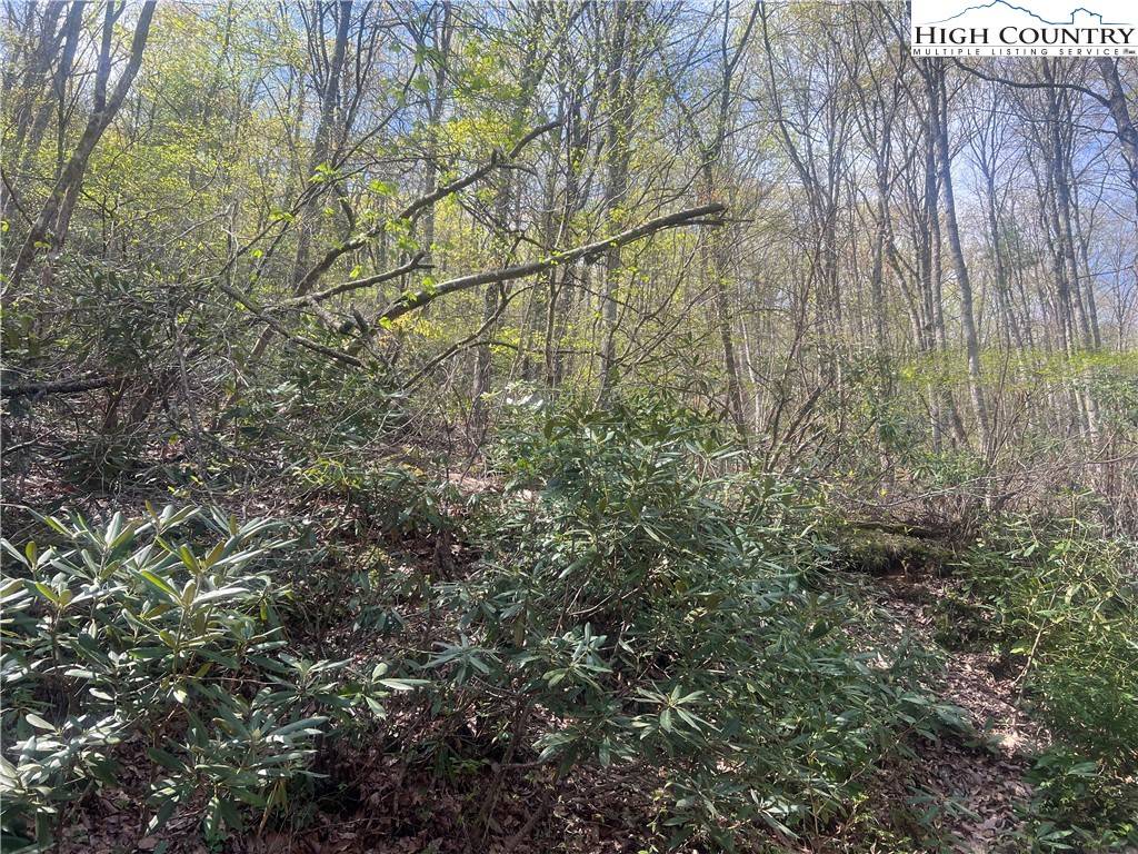 Fleetwood, NC 28626,TBD HICKORY RIDGE RD