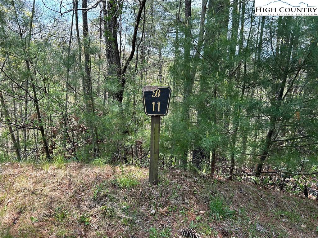 West Jefferson, NC 28694,TBD New River Overlook (Lot 11) RD