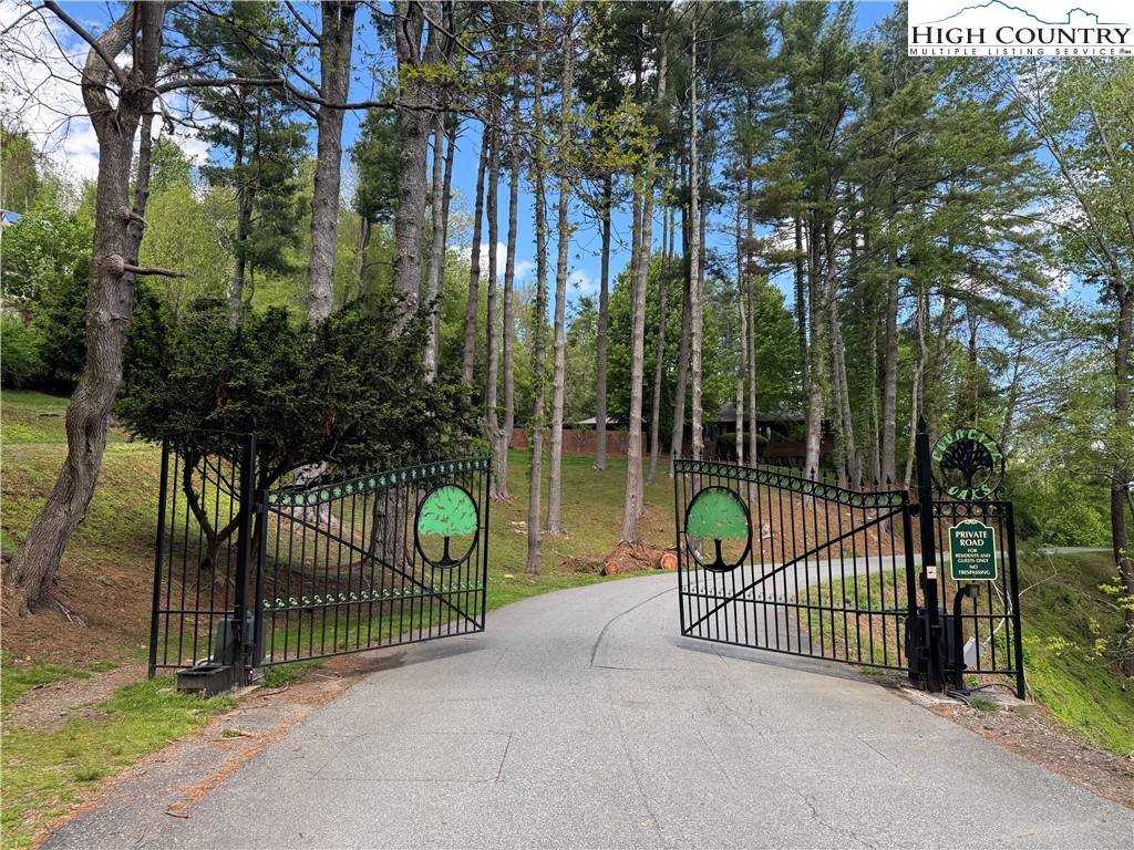 Boone, NC 28607,lot 50 Fire Pink RD