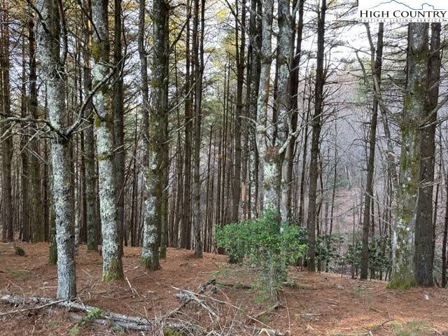 West Jefferson, NC 28694,Lot 25 Davis Acres DR