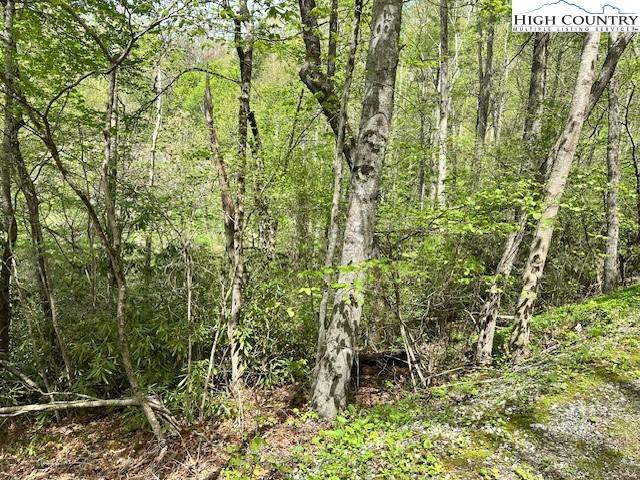 Newland, NC 28657,136 Ivy RD