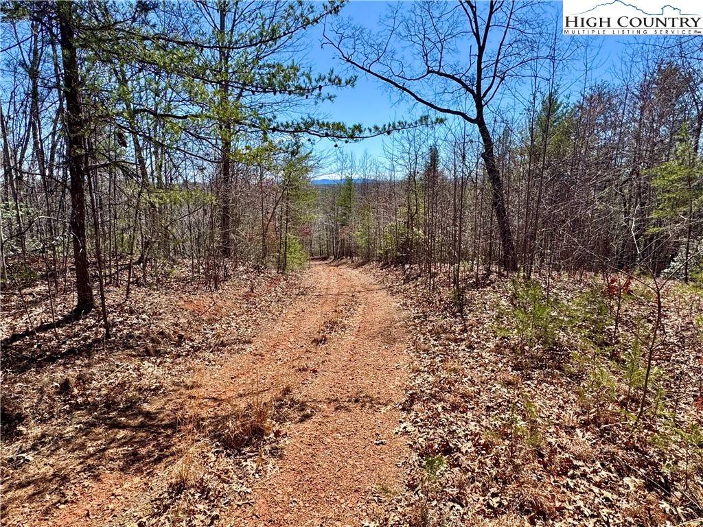 Lenoir, NC 28645,54.2 acres, Lot 837 High Valley WAY