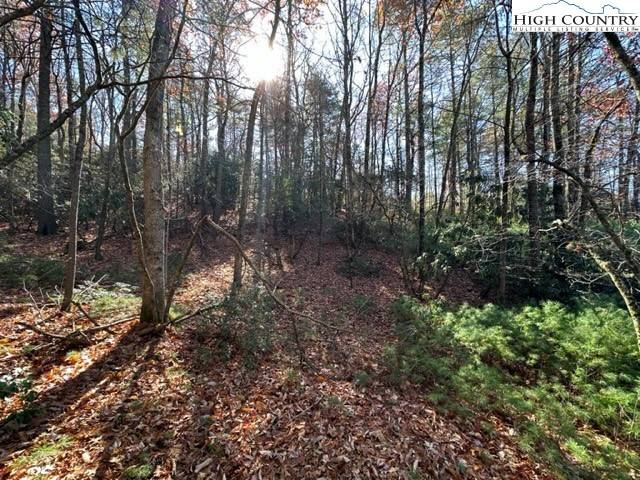 West Jefferson, NC 28694,Lot 27 Walden LN
