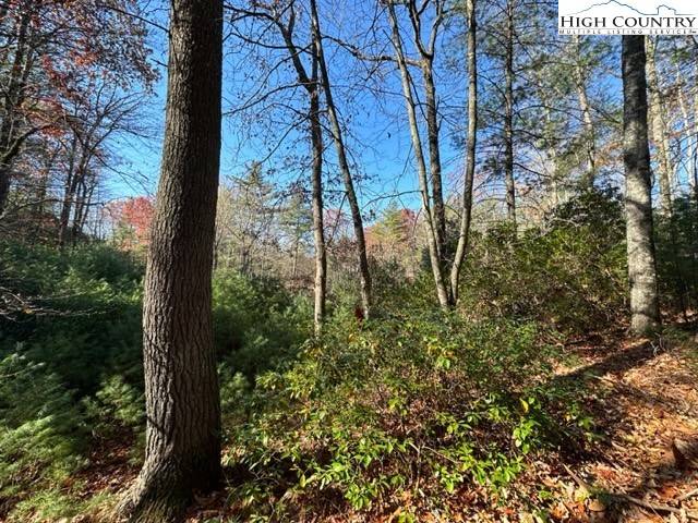 West Jefferson, NC 28694,Lot 27 Walden LN
