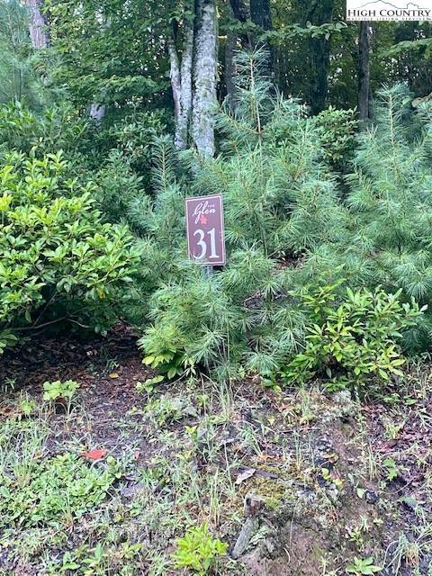 West Jefferson, NC 28694,Lot 31 Thoreau CT