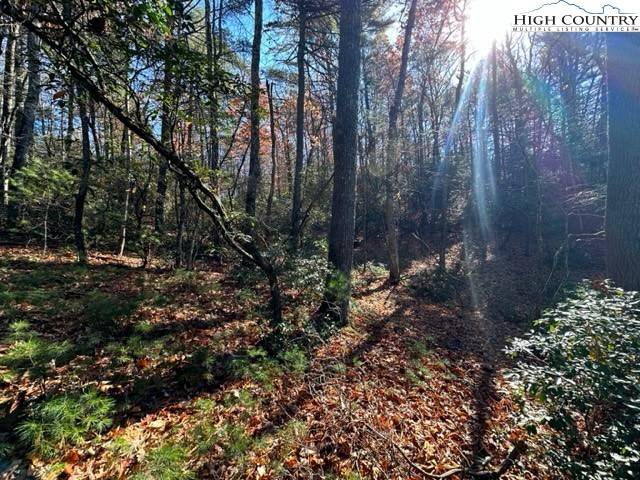 West Jefferson, NC 28694,Lot 32 Thoreau CT