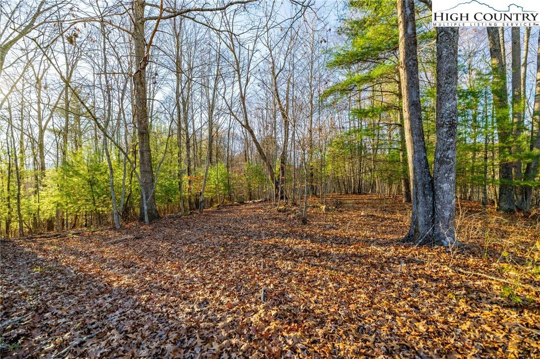 Crumpler, NC 28617,TBD John Baker RD