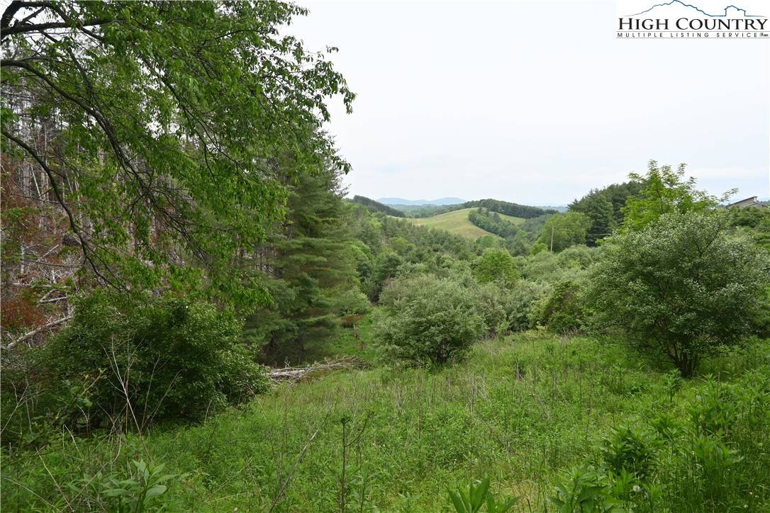 Crumpler, NC 28617,102 Tielcroft RD