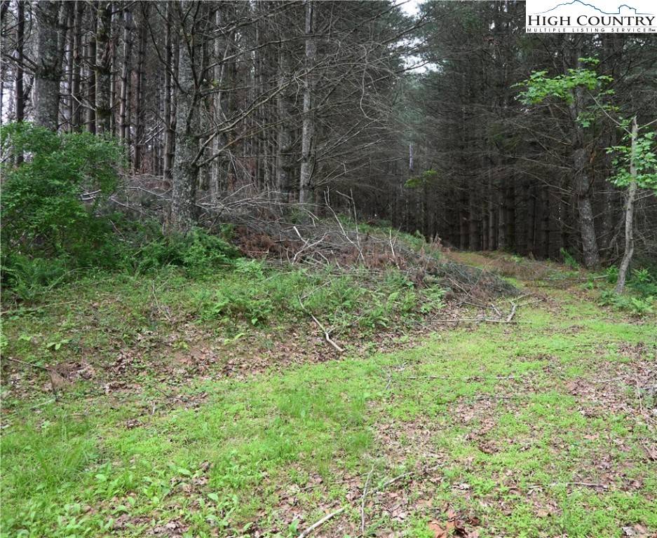 Crumpler, NC 28617,102 Tielcroft RD