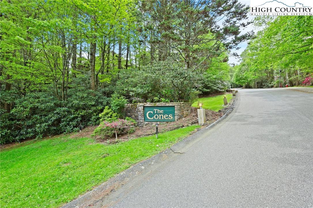 Blowing Rock, NC 28605,179 The Cones #B-3