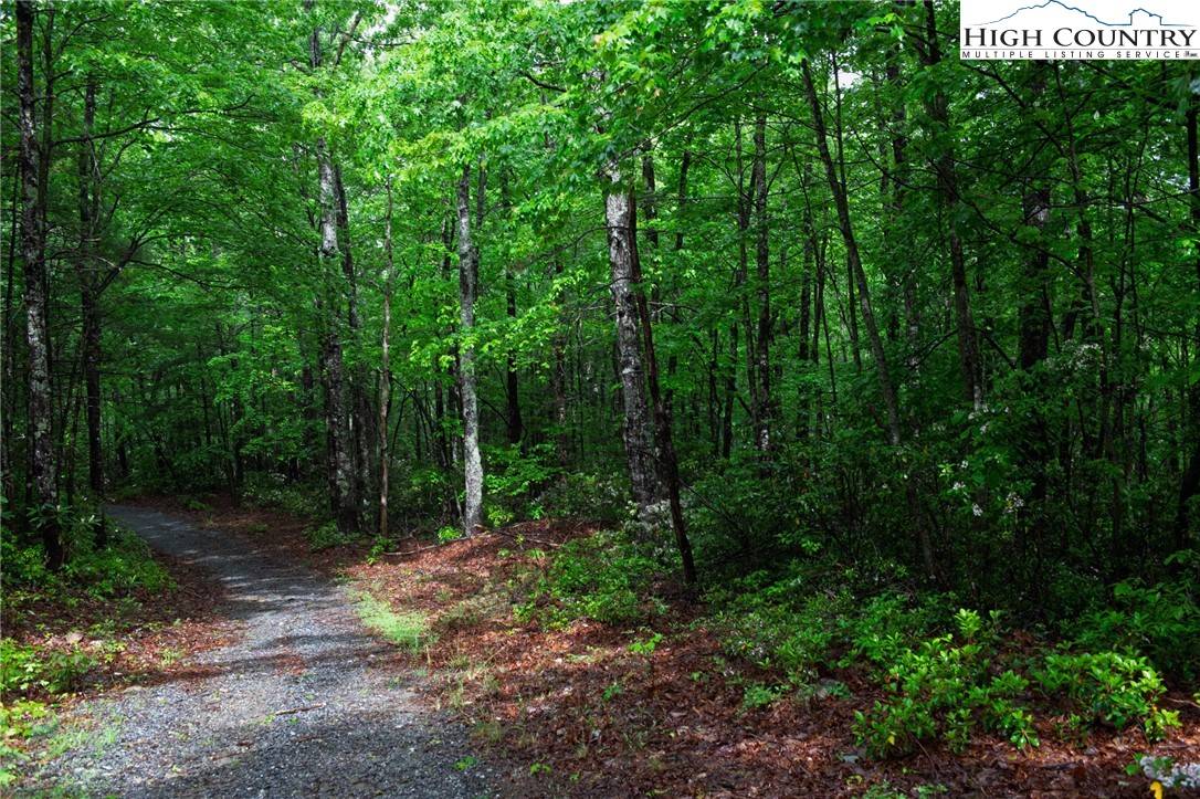 Lenoir, NC 28645,TBD Rocky Top RD