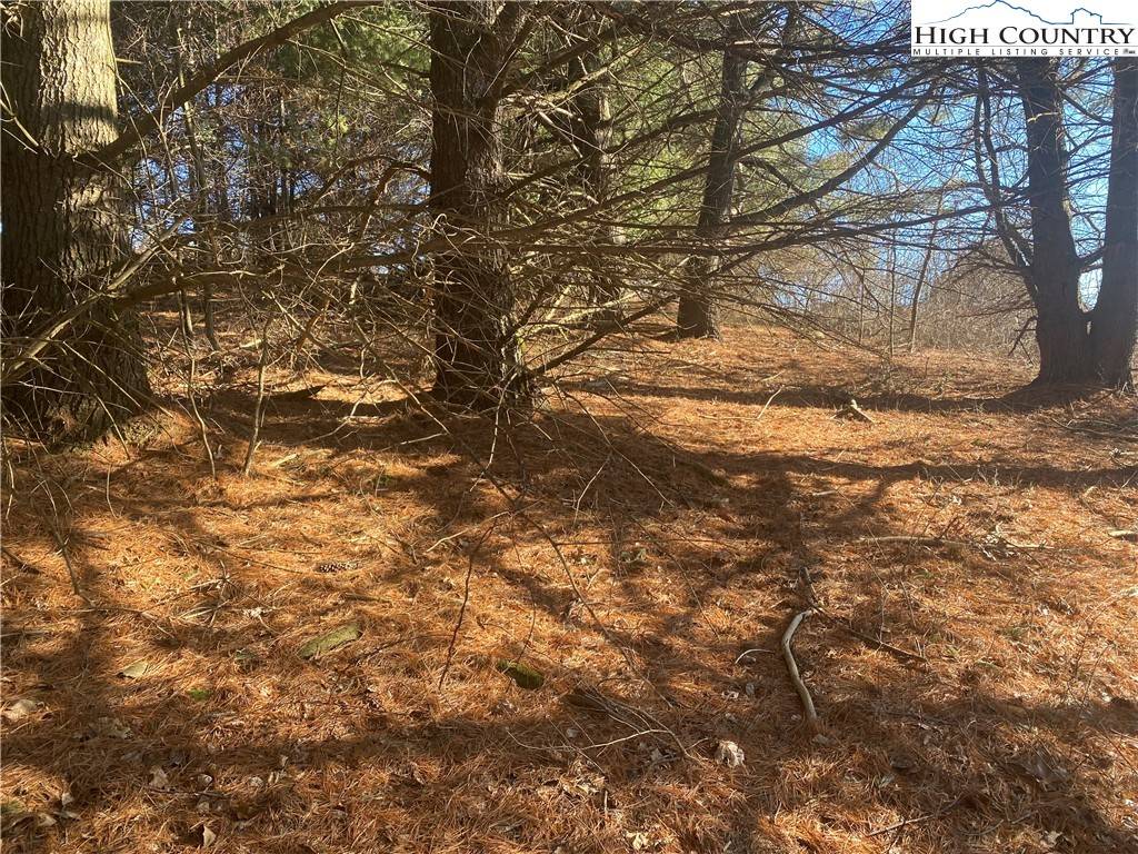 Sparta, NC 28675,TBD Holly Hill DR