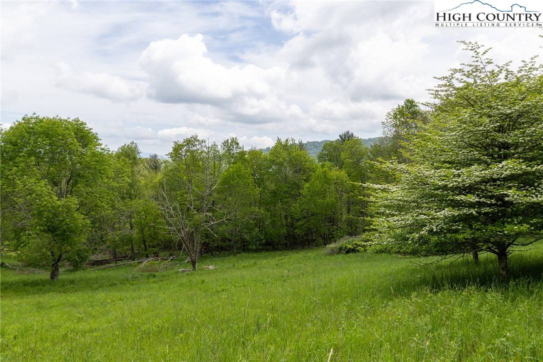 Banner Elk, NC 28604,51 Eagle Creek TRL
