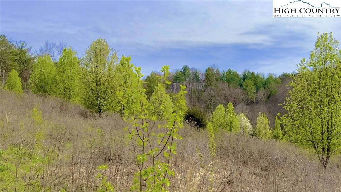 Lenoir, NC 28645,5.69 acres, Lot 504 Equestrian DR