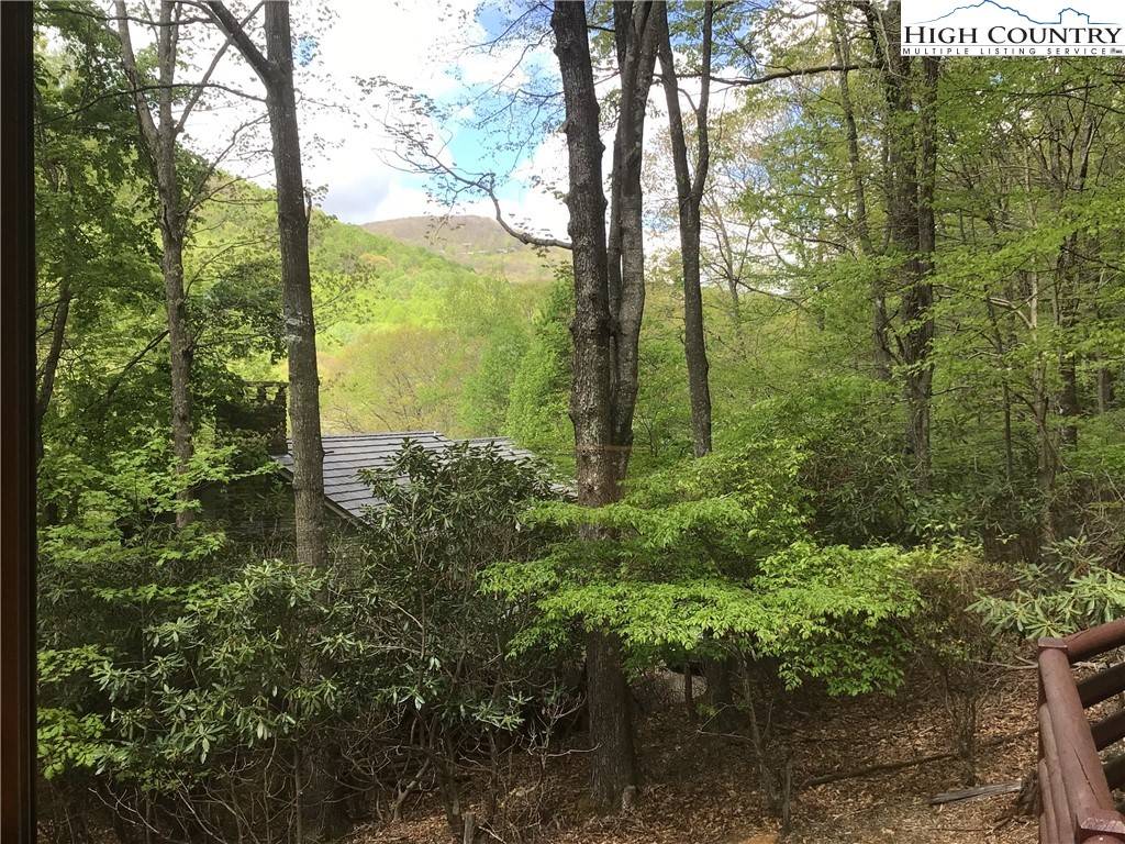 Todd, NC 28684,673 Stonebridge LN