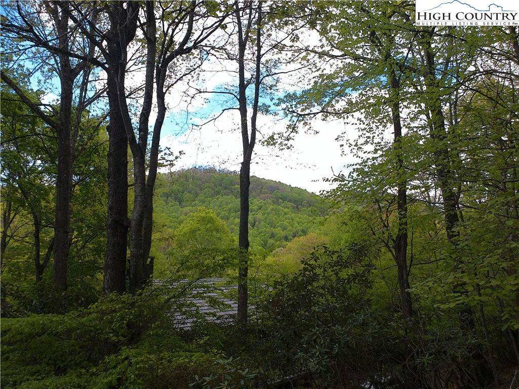 Todd, NC 28684,673 Stonebridge LN