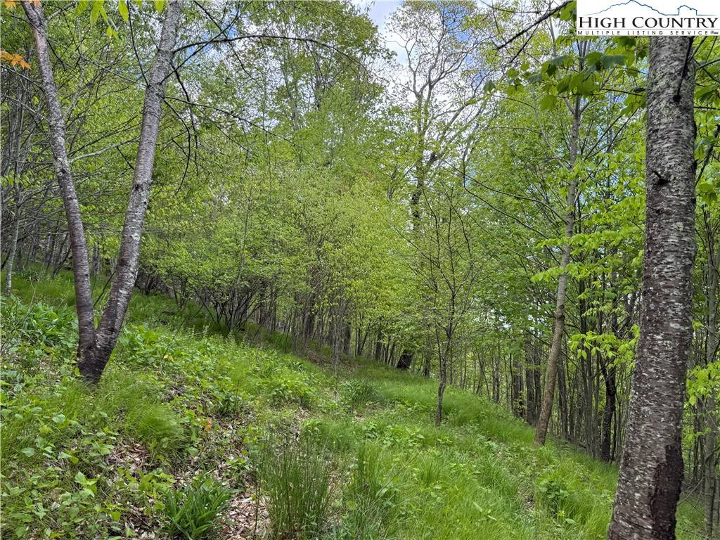 Banner Elk, NC 28604,4 Fox Pointe DR