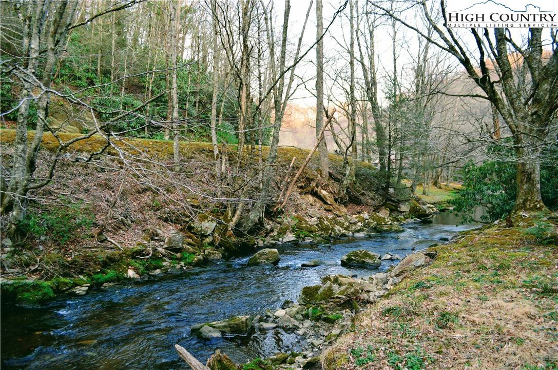 Blowing Rock, NC 28605,Lot 101 Beaver Lodge TRL