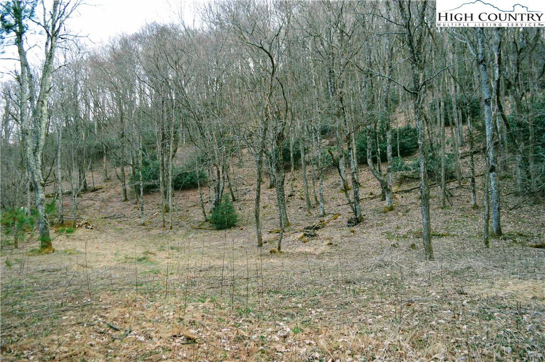 Blowing Rock, NC 28605,Lot 101 Beaver Lodge TRL