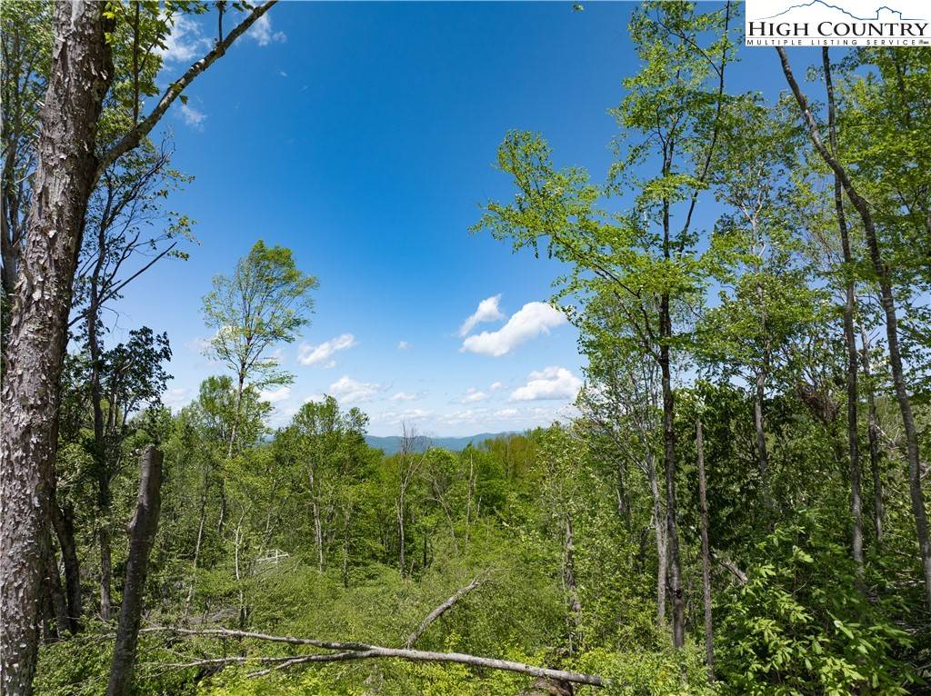 Banner Elk, NC 28604,ES28 Eagle Springs TRL