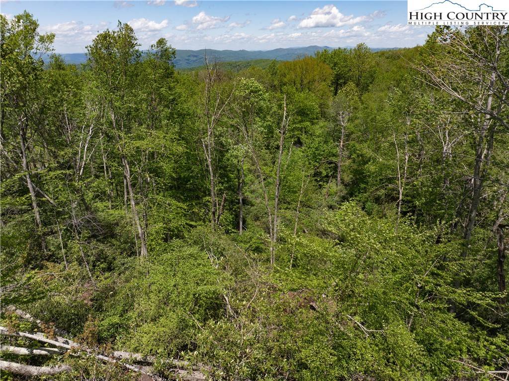 Banner Elk, NC 28604,ES28 Eagle Springs TRL
