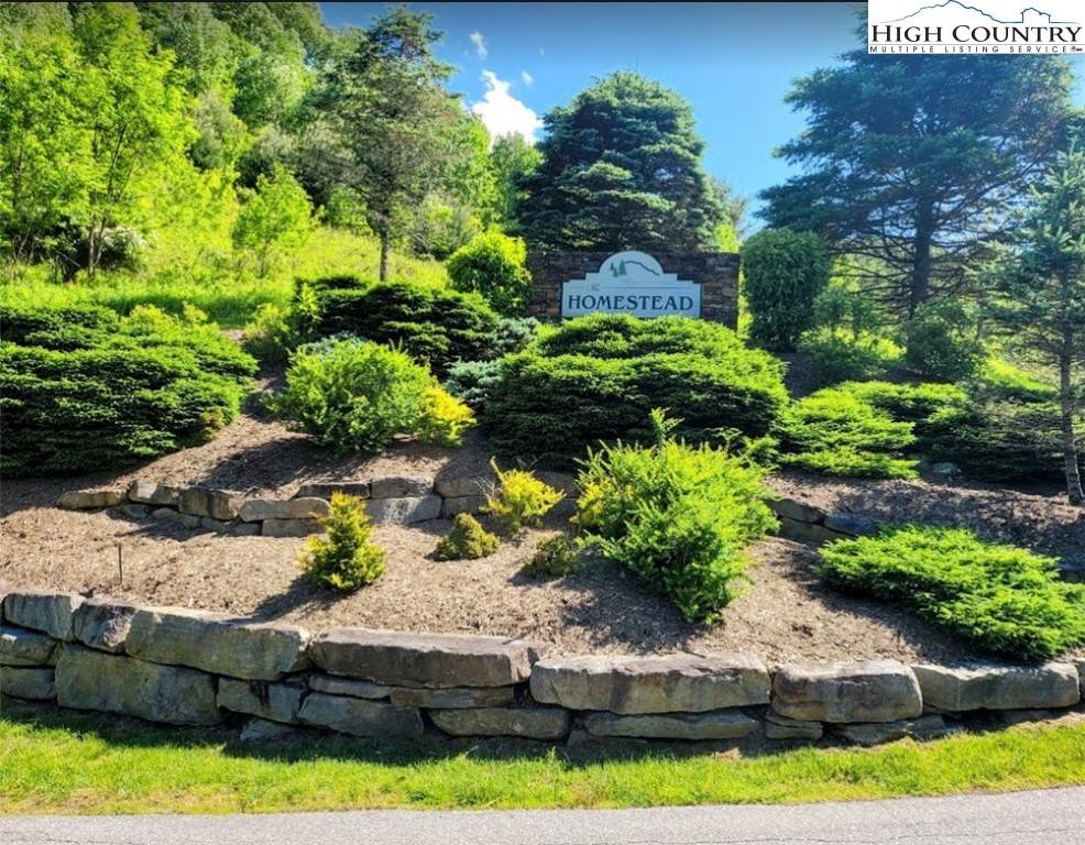 Vilas, NC 28692,TBD Lucky Leaf LN