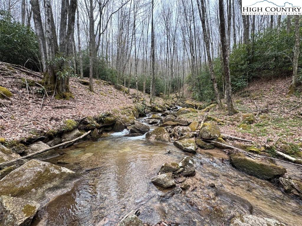 Beech Mountain, NC 28604,62+/- Acres Buckeye Ridge RD