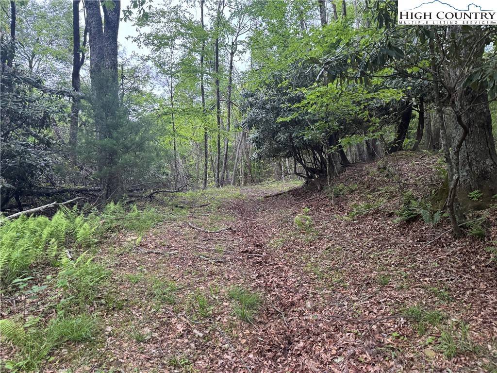 West Jefferson, NC 28694,TBD Park Vista DR